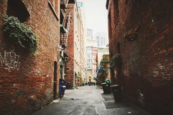 留学计划与研究提案